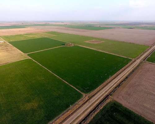 Vendo 50 Has en Centeno