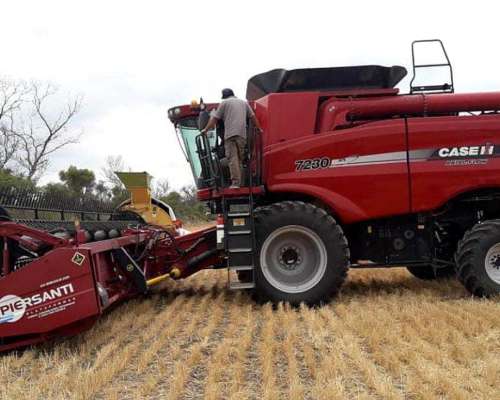 Piersanti Reforma a Lona 23 Pies