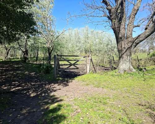 Campo de 47 Has en Manzanares, Apto EMP Industrial