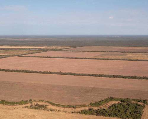 Pcia. de Salta - Apolinario Saravia 6390 Has