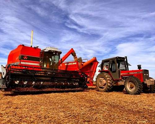 Cosechadora Massey Ferguson 5650, año 2003, 4.000 Hs Motor