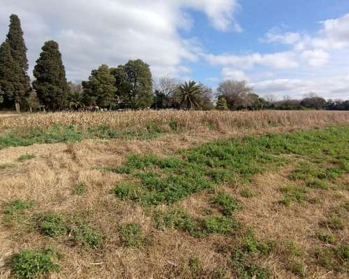 Campo de 3.5 Has. - Zona Aeroclub Villa Coronel Olmedo)