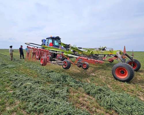 Rastrillo Claas Liner 2900 Trend