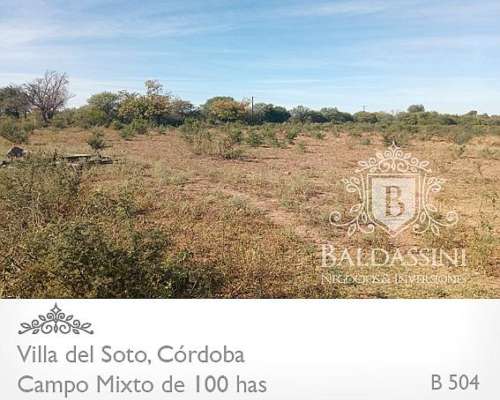 Campo Mixto - Villa del Soto - Córdoba - 100 Has