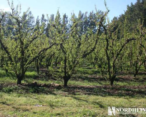 Zarate , G.b.a. Zona Norte, Argentina