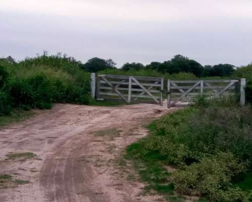 Campo Mixto 400has Tostado