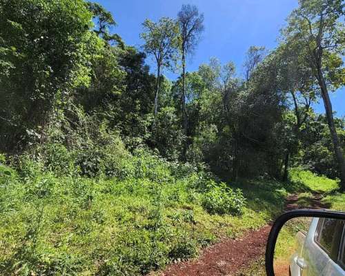 Se Vende Campo Ganadero de 150ha en Colonia Delicia, Eldorad