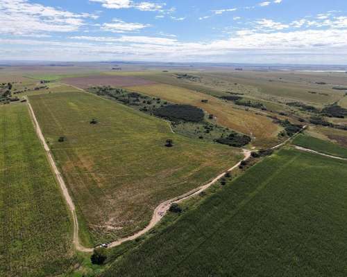 Las Vizcacheras, Pedernera, San Luis - 266 Ha