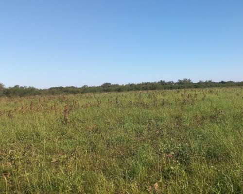 Campo Mixto 42 Hectareas Entre Rios