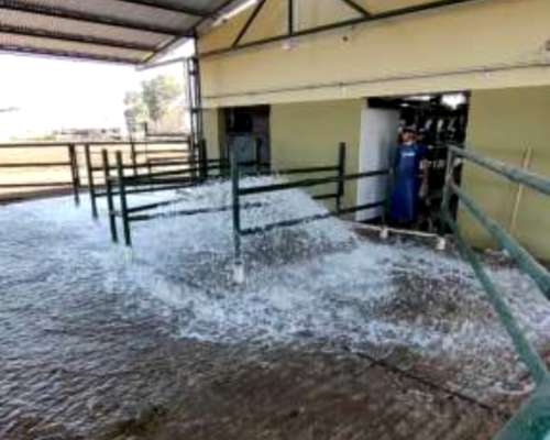 Flushing Tanques Lavado Corral Tambos