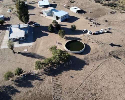 Campo de Cria en Provincia de la Pampa
