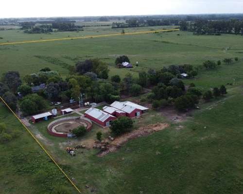 Haras en Pcia de Buenos Aires