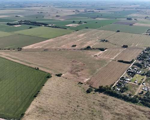 Campo en San Antonio de Areco