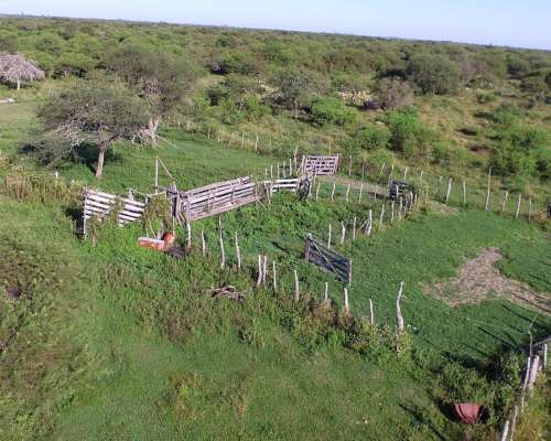 Campo Ganadero en Venta - 118 Has- Bovril, Dpto la PAZ