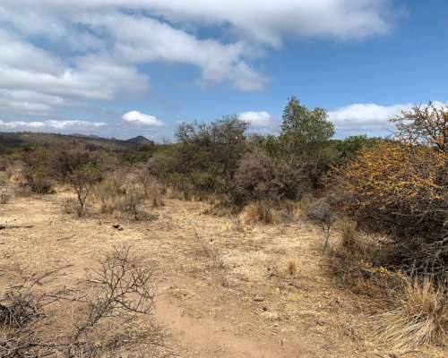3000 Has. Aptitud Ganadero a Desarrollar en Rumiaco
