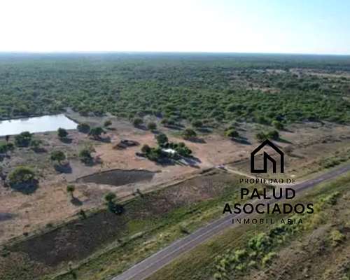 Vendo Campo 23 Has Vera Santa FE Sobre Ruta 3 (toba)