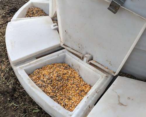 Silos Comedero Autoconsumo Verticales 7.000 KG. (10 M3)