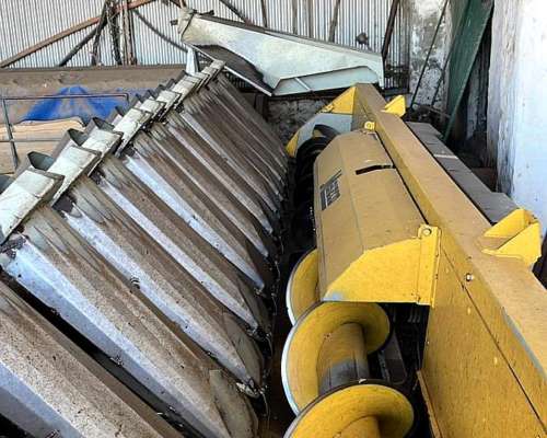 Maicero Maizco 15 a 42 CMS - año 2020