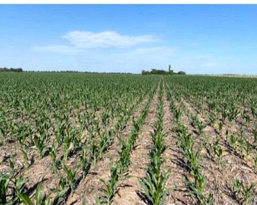 50 Has Rio Primero Córdoba