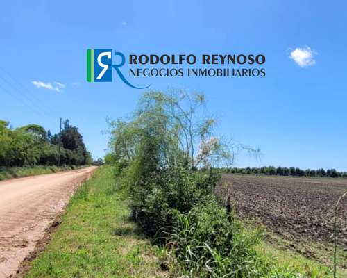 27 HA. en Villa Elisa - Entre Ríos