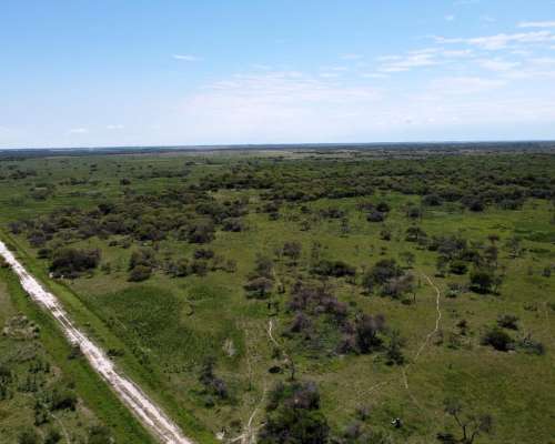 Campo Ganadero 1.635 Ha en Venta – Zona San Javier, Santa FE