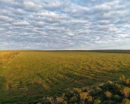 Pcia. de Salta - la Estrella 2125 Ha