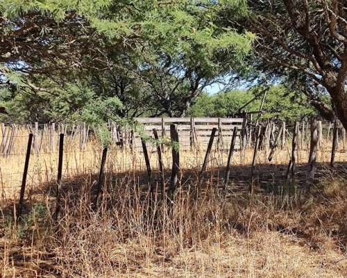 Villa Mercedes SUR 300 Has