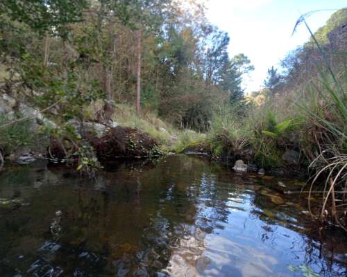 Venta Campo de 29 Ha en Villa Berna Calamuchita Córdoba