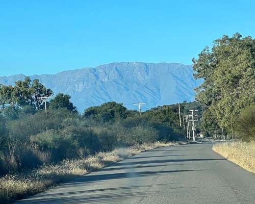 Venta de Campo Mixto con Casa 70 Hectáreas Canal de Riego
