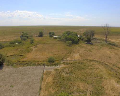 2.228 Has Arrendamiento Ganadero en Pje. San Salvador Corrie