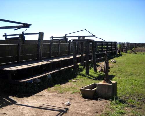 436 Has. en Venta - Santa Lucia, San Pedro - Buenos Aires.