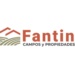 fantin campos y propiedades
